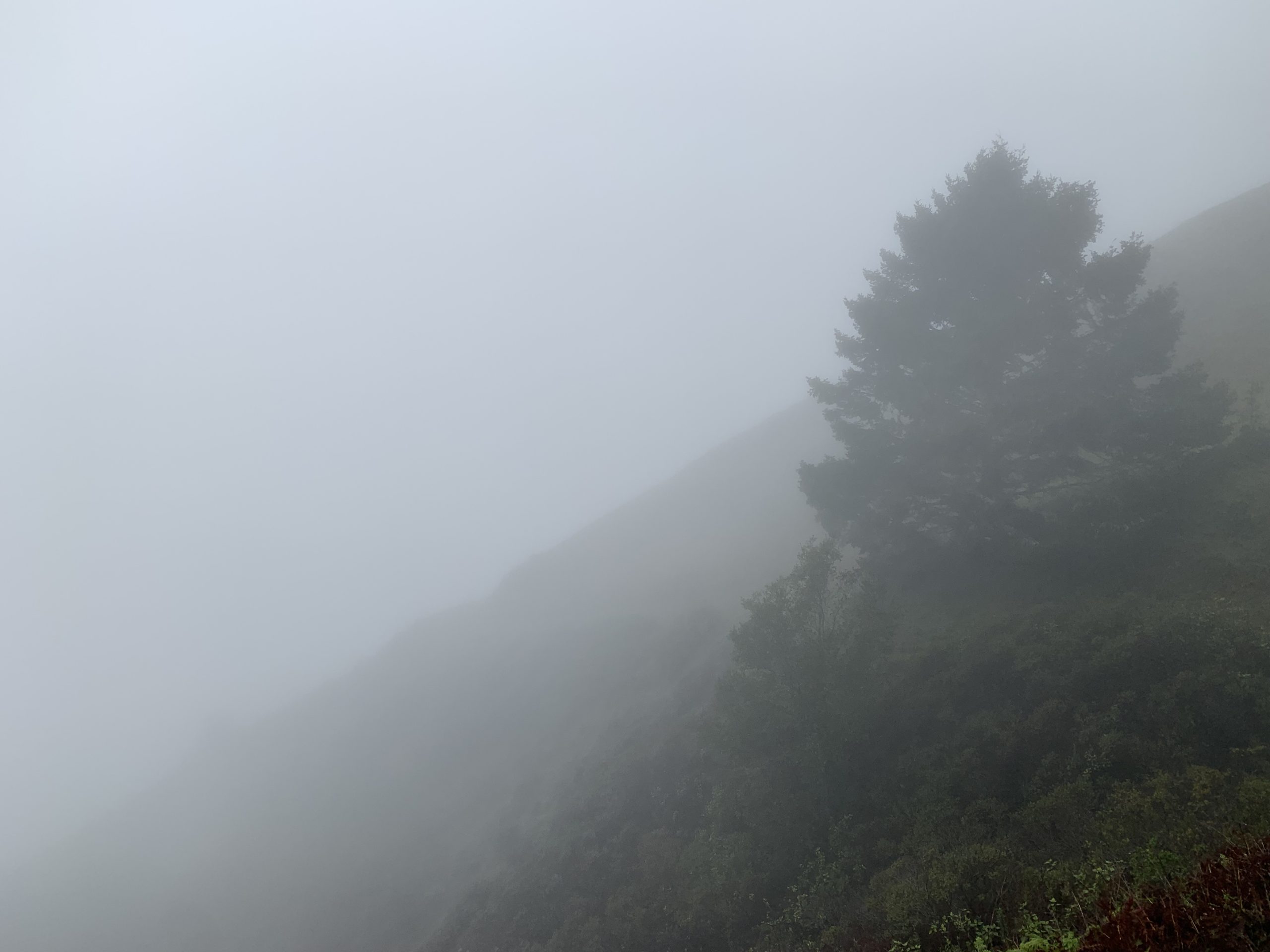 Like a foggy day that undermines a hike, vague language creates confusion, ambiguity, and conflict