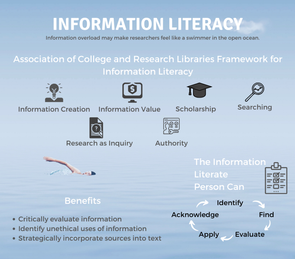 what is information literacy essay