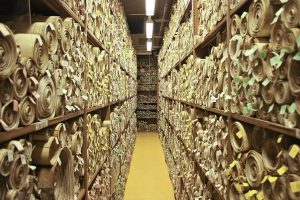 Archive – What Do Writers Need to Know About the Archive?